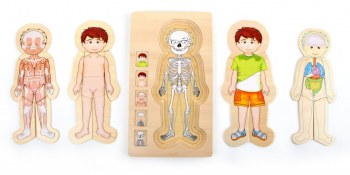 PUZZLE A ETAGES ANATOMIE GARCON SMALL FOOT
