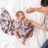 ADEN + ANAIS