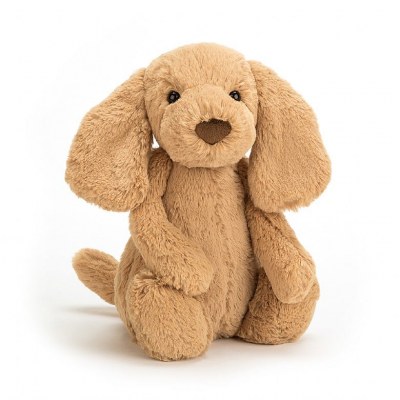 PELUCHE BASHFUL TOFFEE CHIEN MEDIUM JELLYCAT