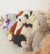 Collection Bashful