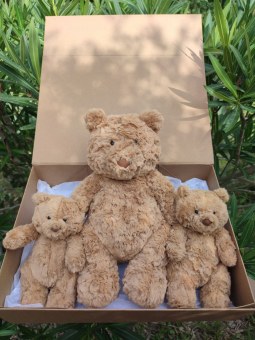 BOX FAMILY BARTHOLOMEW PELUCHE JELLYCAT