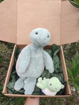 BOX DUO CARAPACE PELUCHE JELLYCAT