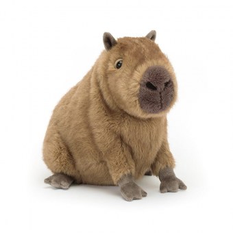 PELUCHE CLYDE CAPYBARA JELLYCAT