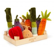 Collection vivacious et plantes