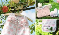PETITE POMME D'AMOUR LITTLE CREVETTE