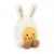 BOX EGGS PELUCHE JELLYCAT